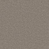 Carpetright Criterion Fawn Carpet