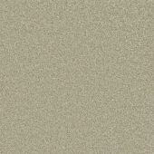 Carpetright Fortune Lichen Carpet