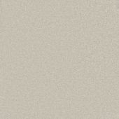 Carpetright Fortune Stone Carpet