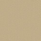 Barcelona Honey Carpet