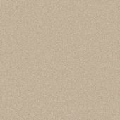 Rustic Charm Sand Carpet