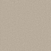 Rustic Charm Parchment Carpet