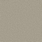 Rustic Charm Cactus Carpet