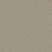 Rustic Charm Canvas Carpet