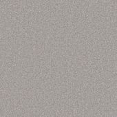 Rustic Charm Platinum Carpet