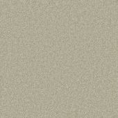 Rustic Charm Moss Carpet