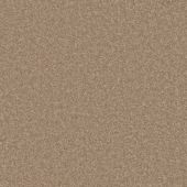 Asha Taupe Carpet