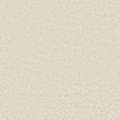 Antigua Cream Carpet