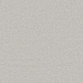 Antigua Silver Carpet