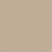 Antigua Beige Carpet