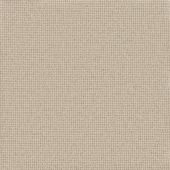 Savannah Plain Sand Carpet