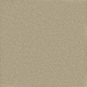 Savannah Plain Khaki Carpet