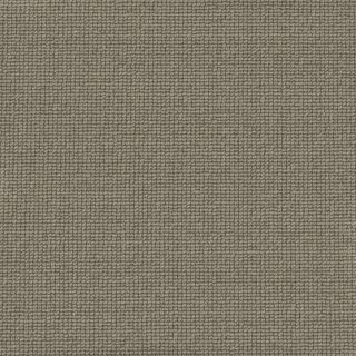 Savannah Plain Hunter