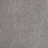 Seahawk Silver Carpet