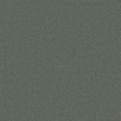 Hannah Hunter Carpet