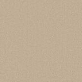 Hannah Champagne Carpet