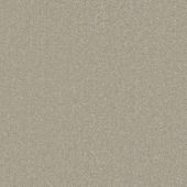 Cozumel Stone Carpet