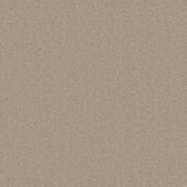 Cozumel Beige Carpet