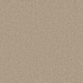 Daytona Sand Carpet