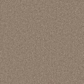 Daytona Birch Carpet