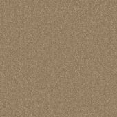 Inspire Suede Carpet