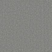 Inspire Silver Carpet