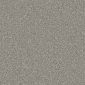 Inspire Platinum Carpet