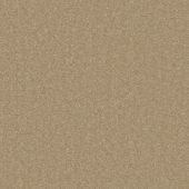 Inspire Beige Carpet