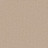 Carpetright Boston Leather Carpet