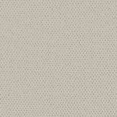 Canyon Berber Bone Weave Carpet