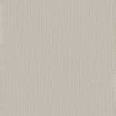 Canyon Berber Bone Rib Carpet