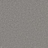 Tralee Platinum Carpet