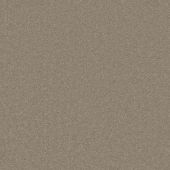 Kinsale Canvas Carpet