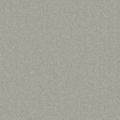 Kinsale Silver Carpet