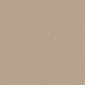 Astral Caramel Carpet