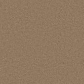 Alderwood Wheat Carpet