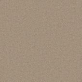 Alderwood Nude Carpet