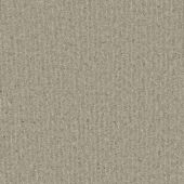 Brookdale Dove Carpet