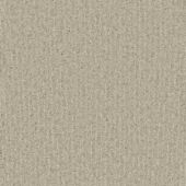 Brookdale Silver Carpet