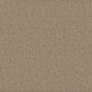 Beechcroft Dove Linea