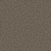 Hartford Soot Carpet