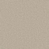 Hartford Nougat Carpet