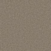 Hartford Stone Carpet