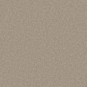 Concord Beige Carpet