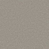 Concord Titanium Carpet