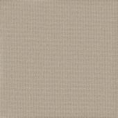 Galileo Canvas  Carpet