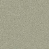 Metropolitan Moss Carpet