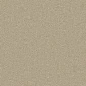 Metropolitan Sand Carpet