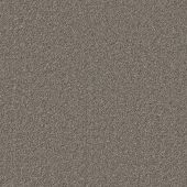 Metropolitan Hazel Carpet