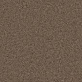 Mill Bay Mocha Carpet